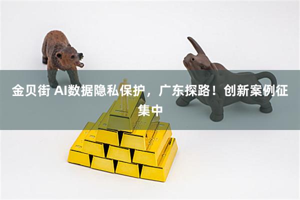 金贝街 AI数据隐私保护,广东探路!创新案例征集中