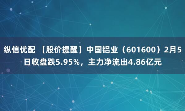 纵信优配 【股价提醒】中国铝业（601600）2月5日收盘跌5.95%，主力净流出4.86亿元