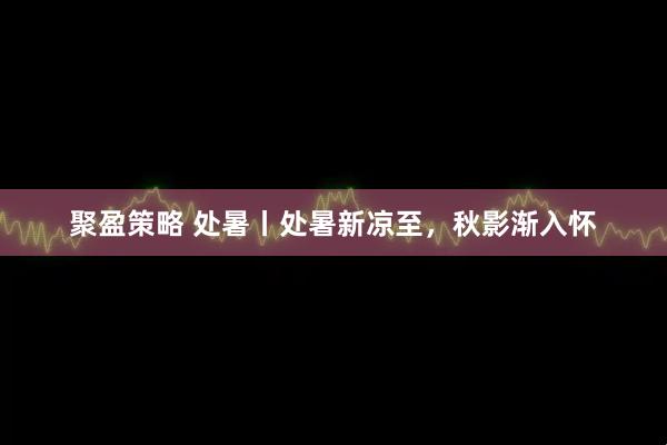 聚盈策略 处暑丨处暑新凉至，秋影渐入怀